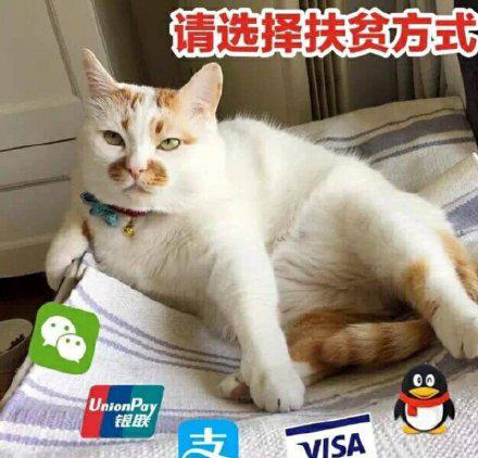 向父母讨钱的表情包合集|妈,给点钱呗