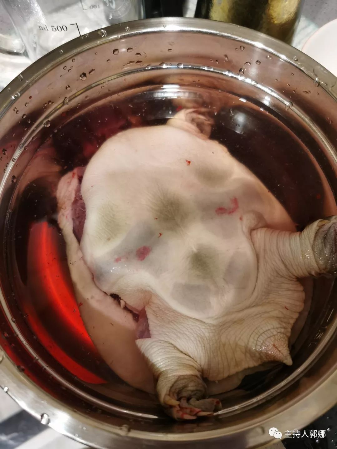 吃甲鱼超度-吃甲鱼拉肚子什么原因 吃甲鱼超度-吃甲鱼拉肚子什么原因