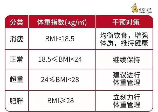 體重管理專題四怎麼知道胖了沒有bmi可不是唯一指標