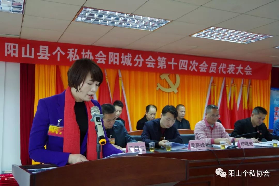 县个私协会常务副会长叶东兴在会上致开幕词会议认真审议了阳城分会