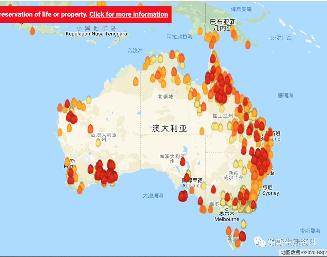 澳洲一场大火,烧出了一些吃着人血馒头的人!