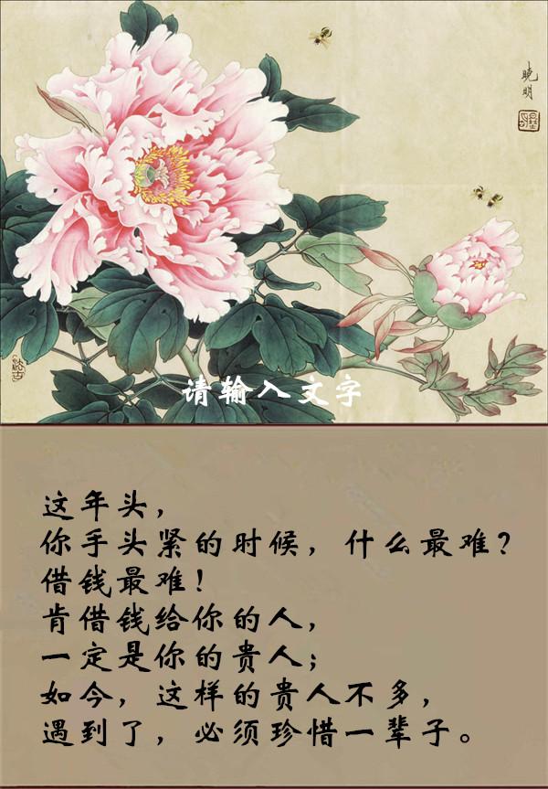 钱与情,钱与人,钱与命