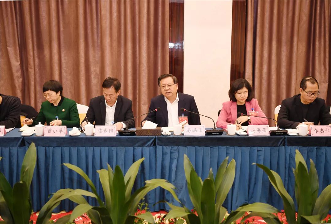 审查政府工作报告鹏飞书记这样说