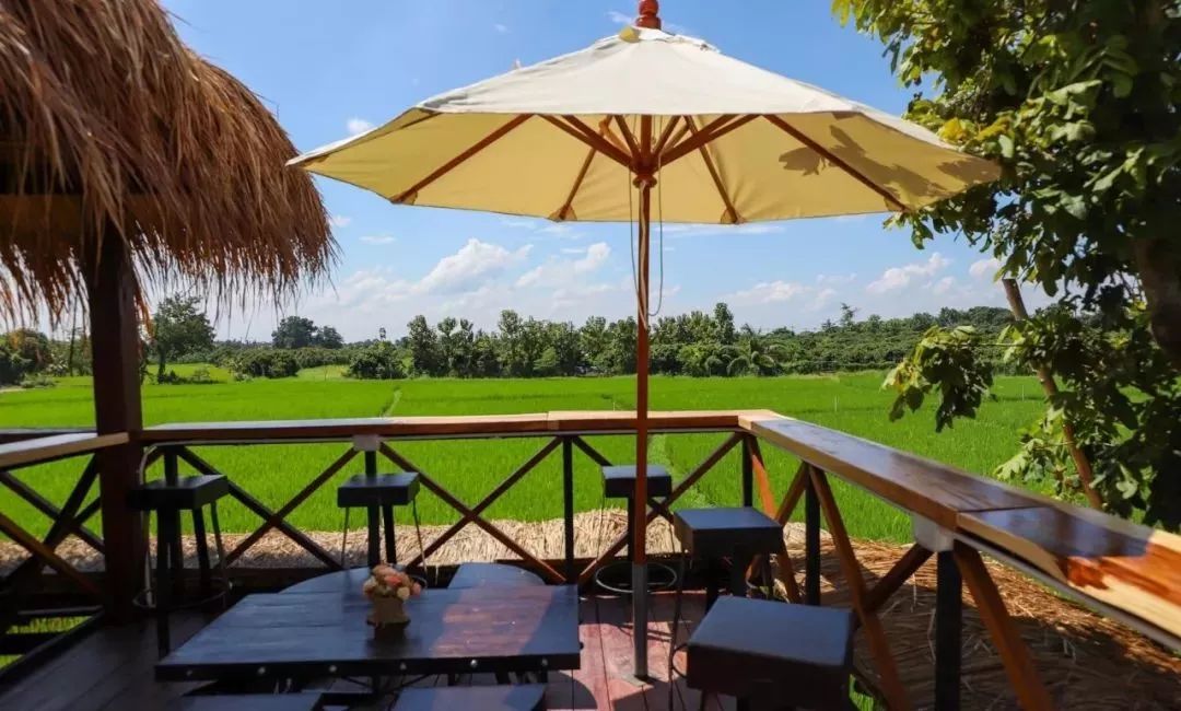 清迈稻田咖啡馆对的时间就要看对的风景