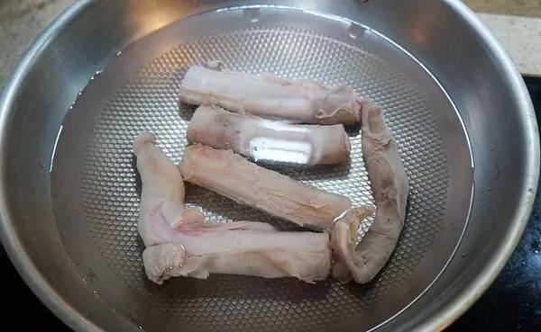 这个就是牛鞭的横截面了,注意右侧那个红色带孔蜂窝状的组织,是牛的