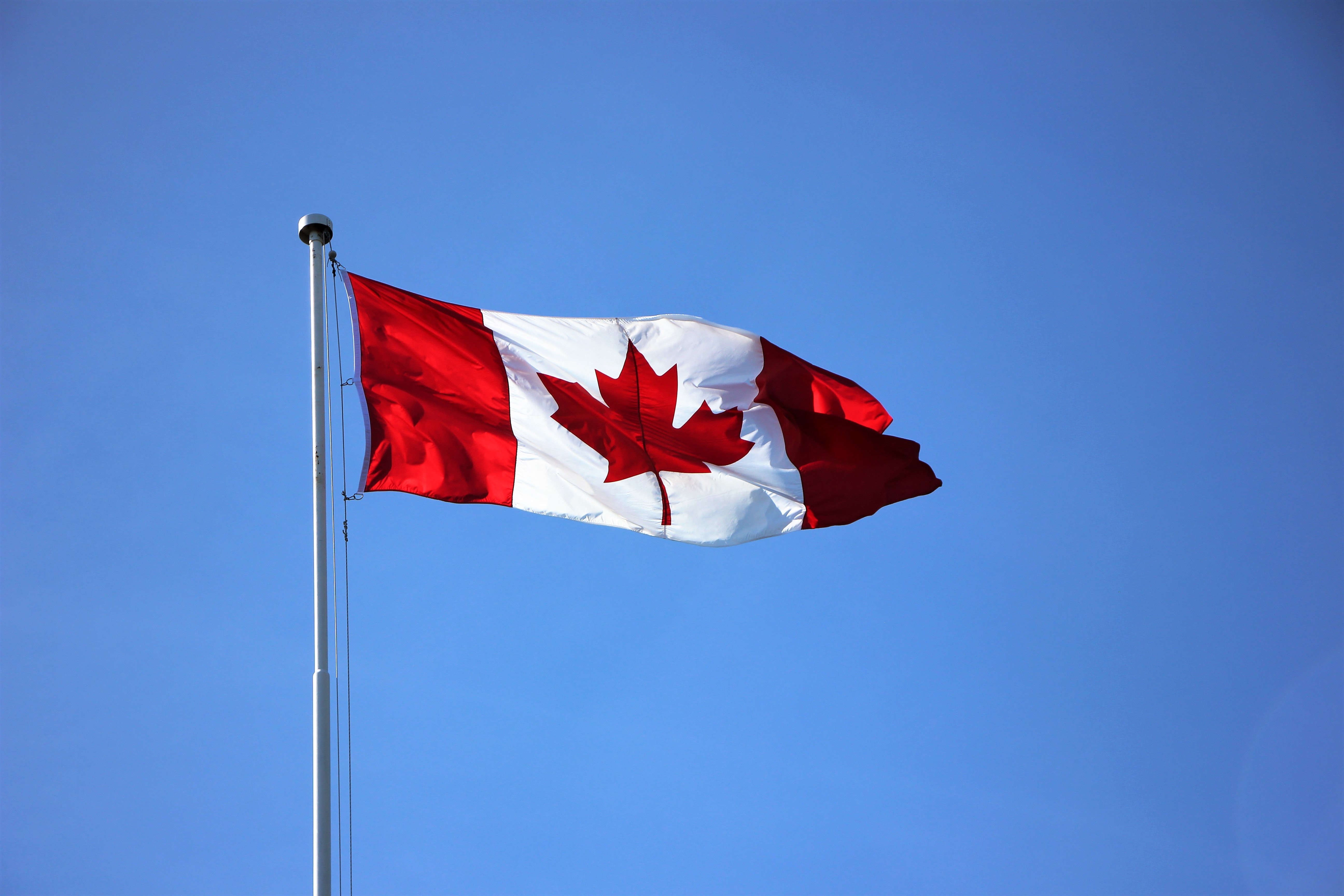 寰宇国际—有哪些方式可以快速移民加拿大?