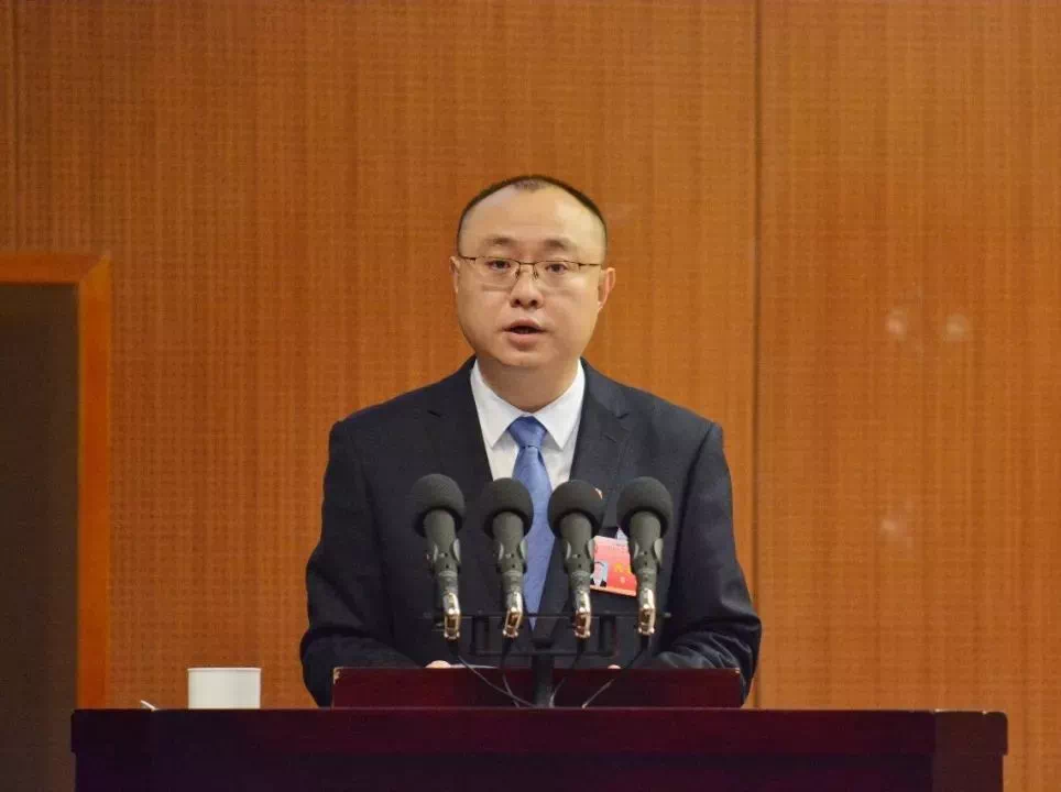 龙岗区第六届委员会向大会作工作报告,区委副书记,区长代金涛就全区
