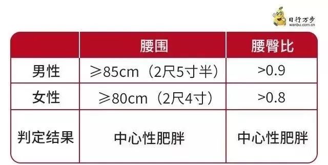 世界卫生组织以腰围男性≥102cm,女性≥88cm或腰围/臀围:男性