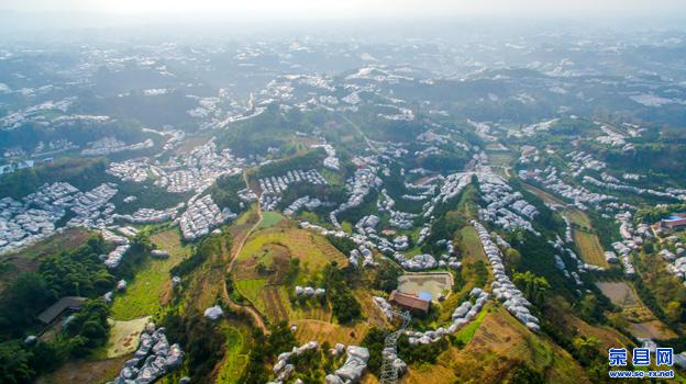 荣县留佳镇夯基提质全力谱写乡村振兴新篇章