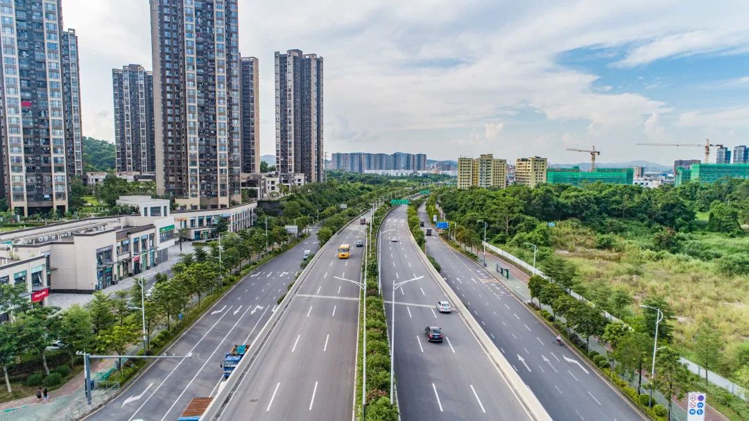 中轴通衢 ,奋进龙华!_大道