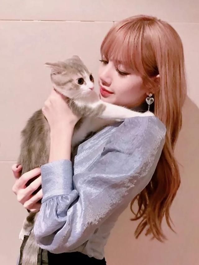 另一位跟 lisa 一样养了猫咪的还有wuli肖战同学之前 po 撸它家坚果的