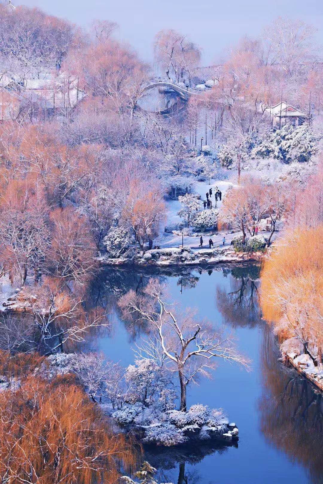 初雪过后,济南的"美貌"藏不住了!最美的雪景都在这!