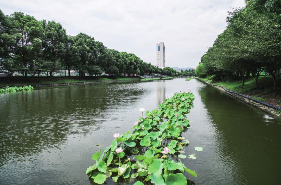 走向前台店口第二代企业家的责任和观念