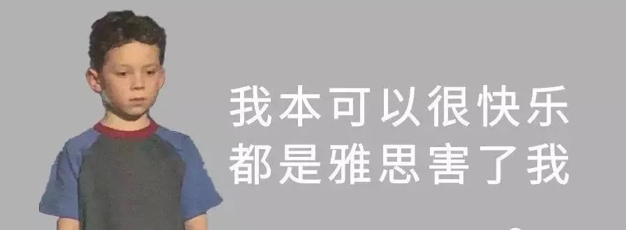 雅思考生的2019年終總結,全在這些表情包裡了._口語