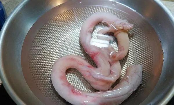 慎入传闻中的牛鞭菜过程惨烈男人看着有点痛