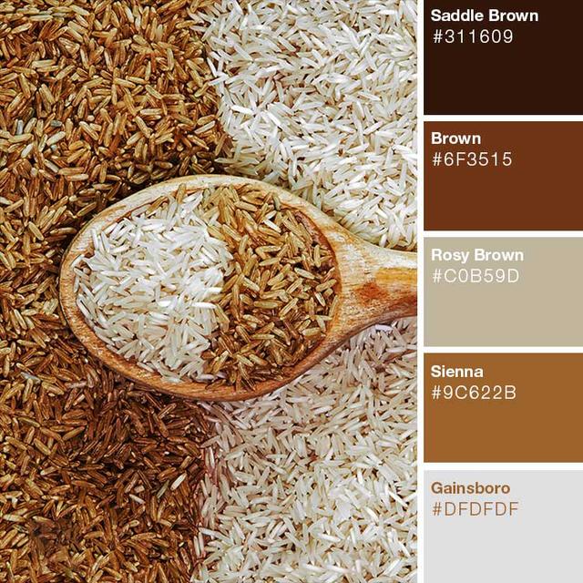 一组色彩搭配方案!棕色系