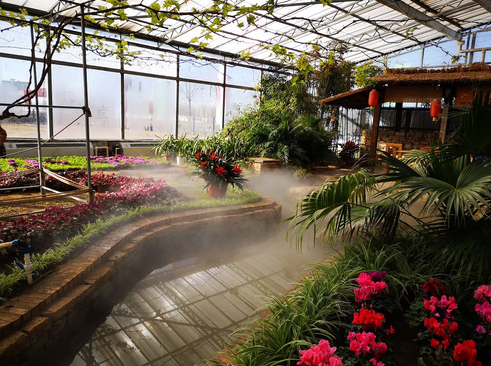 周游灯塔 | 如约而至 看繁花似锦——灯塔市辽峰小镇第四届冬季赏花节