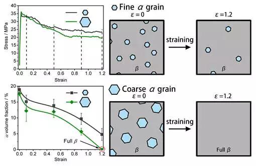 增加了人们对钛合金热加工过程相变的科学新认知,对于优化钛