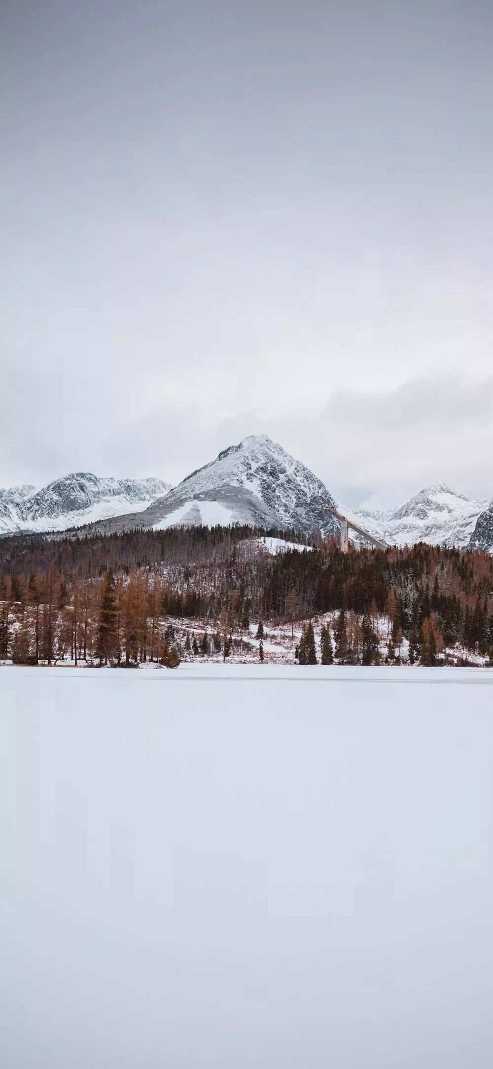 雪景壁纸这北国的白色浪漫我只分享与你