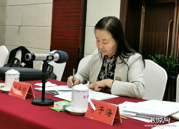 两会声音刘海艳代表让更多的人认识丰宁布糊画