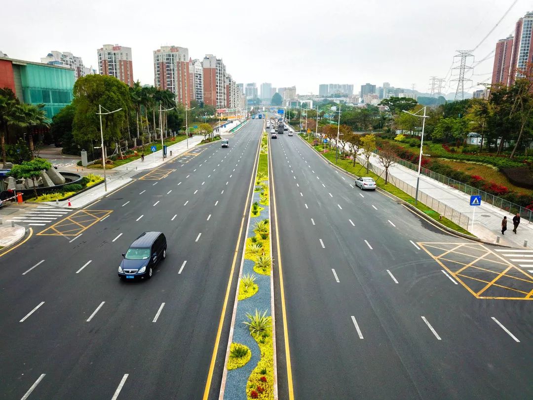 交通大片:龙华人的出行生活如画卷展开_大道