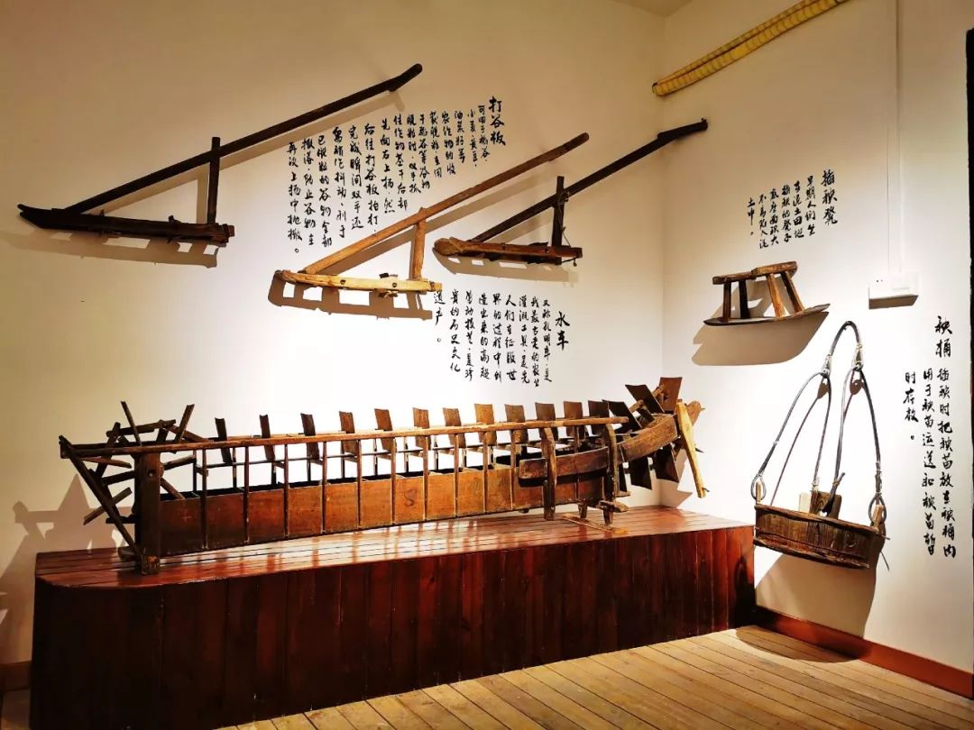 即将免费开放广东首家粮食博物馆就在三水据说藏着几代人的回忆