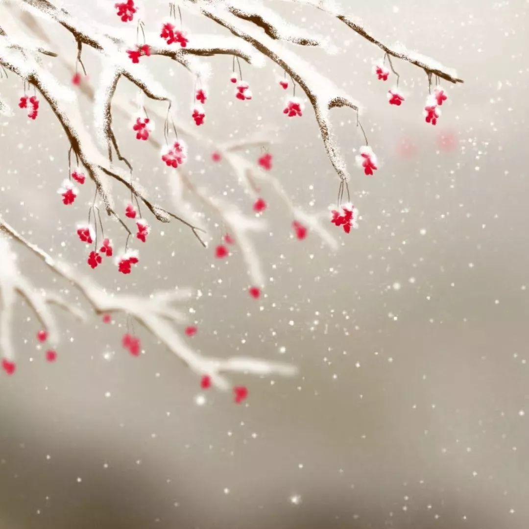 隔牖风惊竹开门雪满山宋词里的冬天美得楚楚动人令人心醉