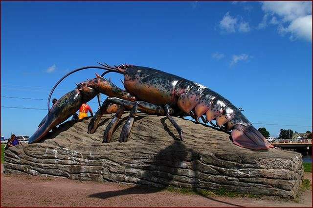 原创世界最大的淡水龙虾,体长0.8米重6公斤,这座岛上到处都是