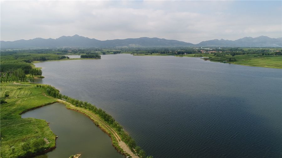今日东庄生态立镇铺就乡村振兴最美底色