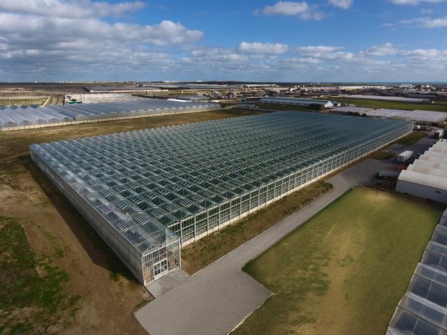 荷兰智慧玻璃温室大棚让蔬果品质上升