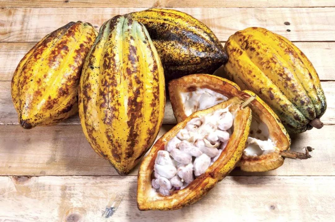 带地名的墨西哥特产