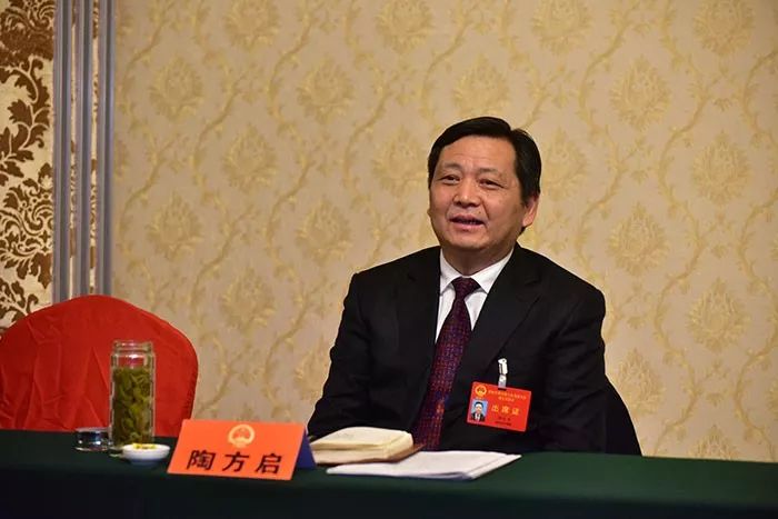 2020宣城两会67陶方启参加宣州区代表团审议