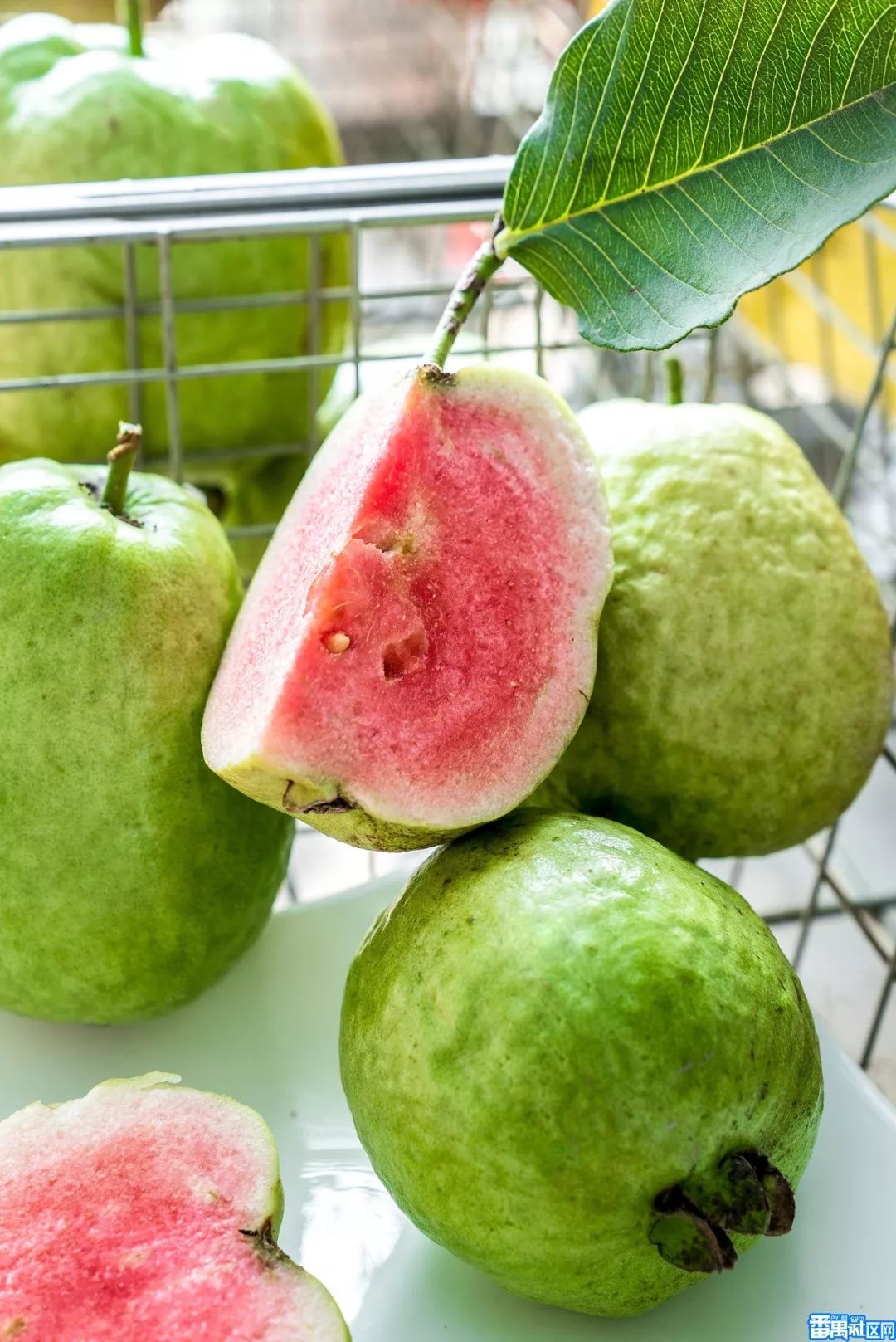 065元斤市面少见的红宝石芭乐好吃时节送礼佳品20分钟直达原生态