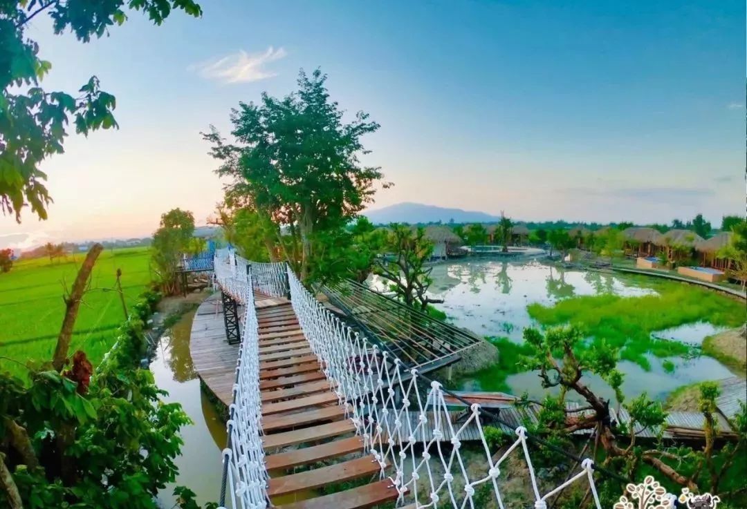清迈稻田咖啡馆对的时间就要看对的风景