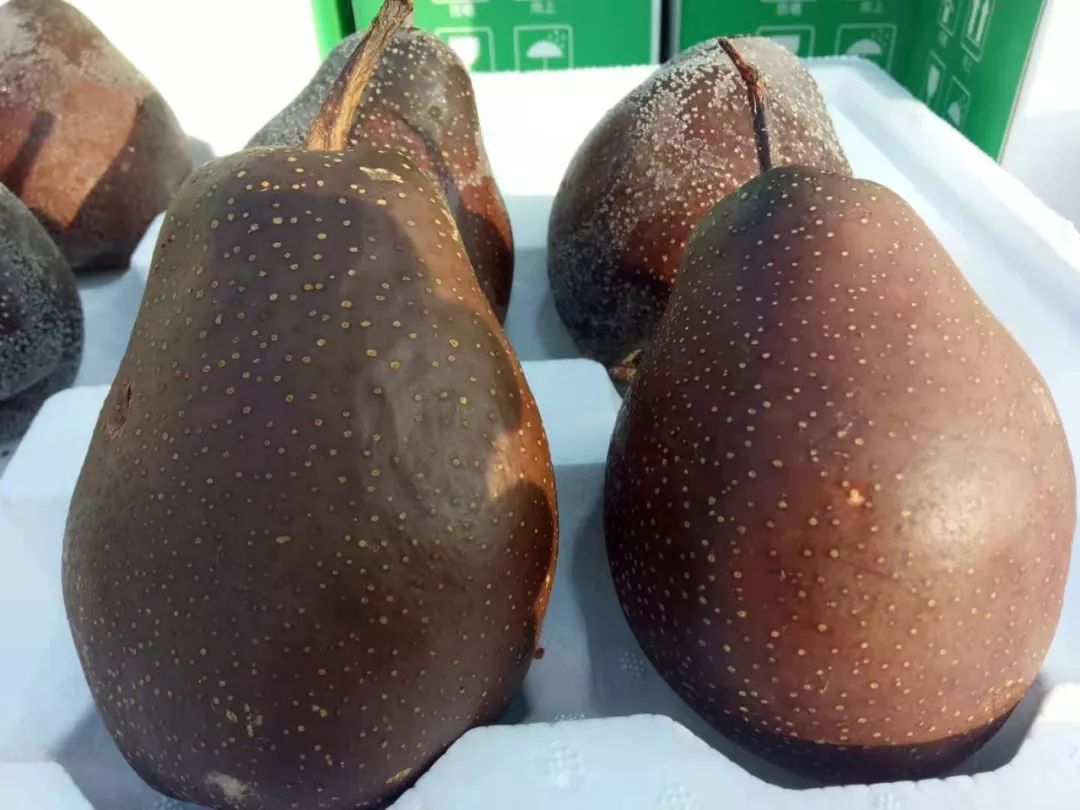 河州塬啤特果故乡的高原山珍正在热卖中