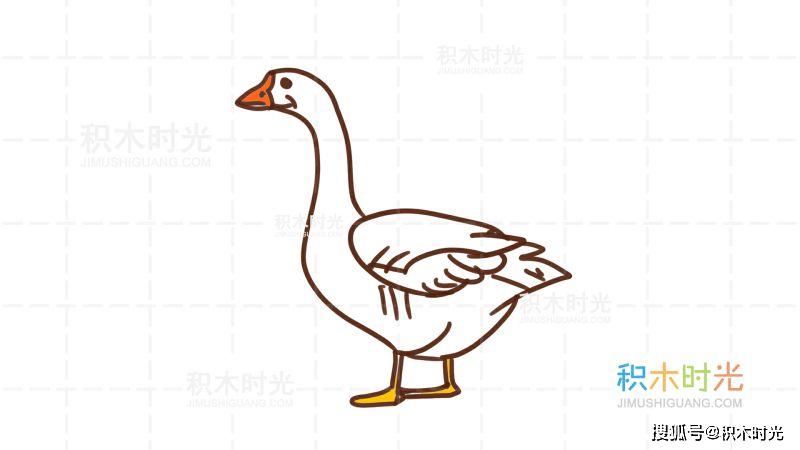 青草国的鹅简笔画图片