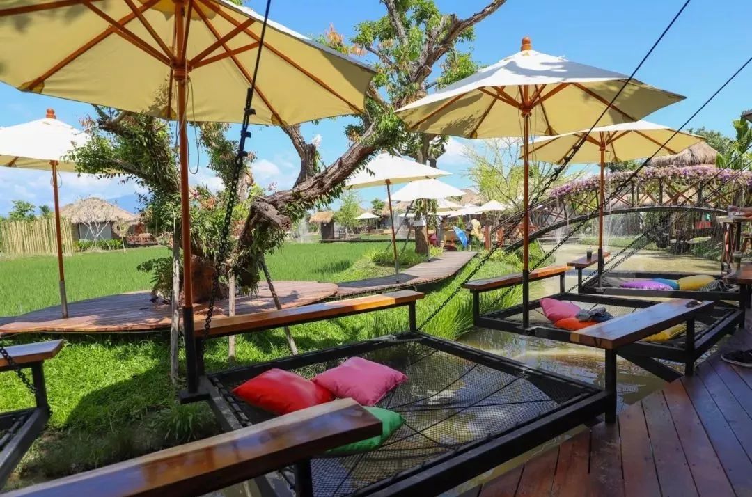 清迈稻田咖啡馆对的时间就要看对的风景