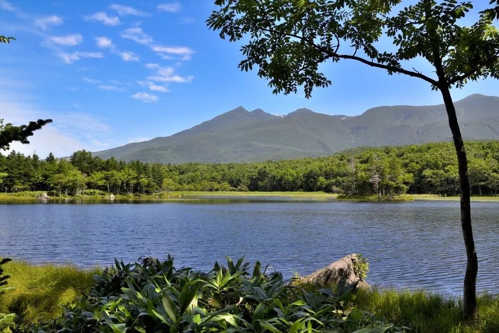 北海道自然风光的极致丨知床八景 知床半岛