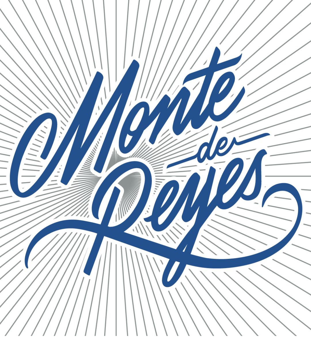 2019拉丁美洲设计奖专业组字体类入围作品