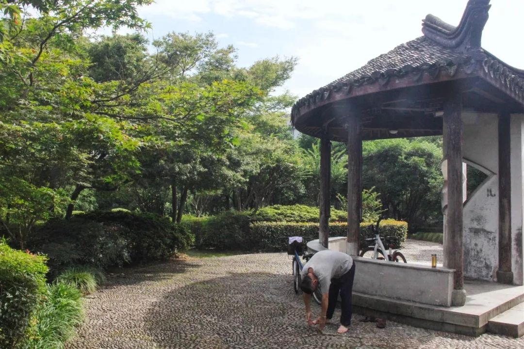 月湖公園裡原來藏著一個濃縮的寧波