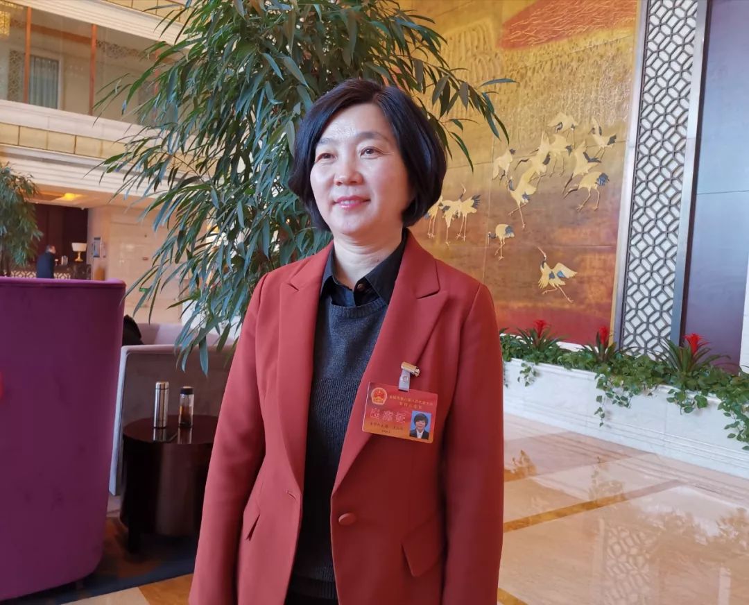 两会同期声二实干赢得未来代表委员热议政府工作报告