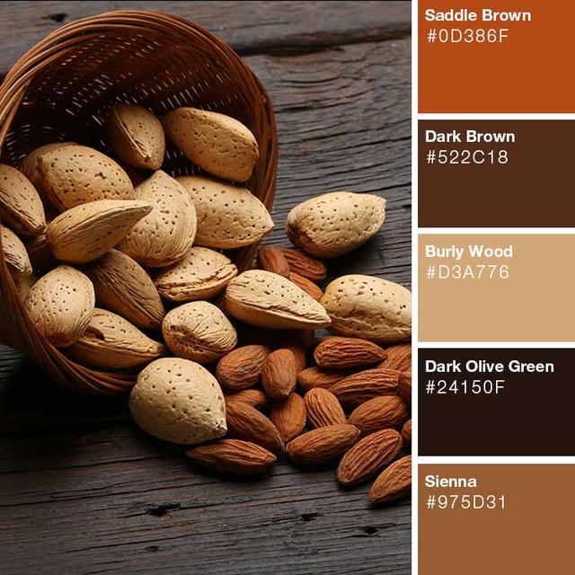 一组色彩搭配方案!棕色系