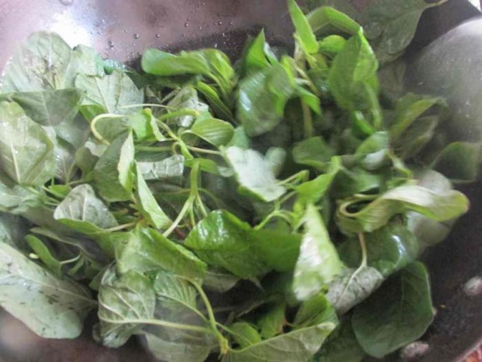 这个野菜遍地都是, 1分钱不用花5分钟就做好! 经常吃补血又减肥