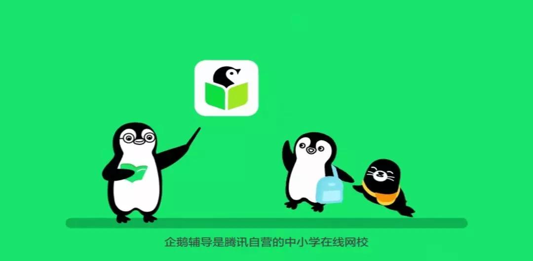 爱选课丨有腾讯背景的企鹅辅导,撑得起这个名气吗?