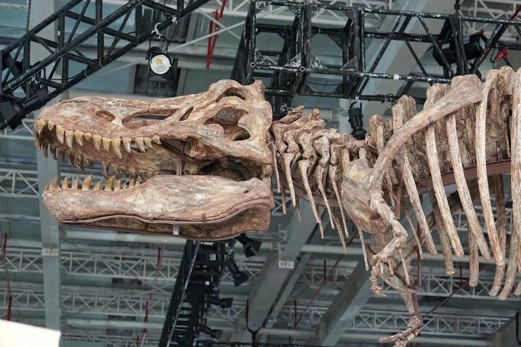 9元!萌宠乐园,冰雪王国,大型灯会,展览.假期zui佳亲子游玩地都在这!