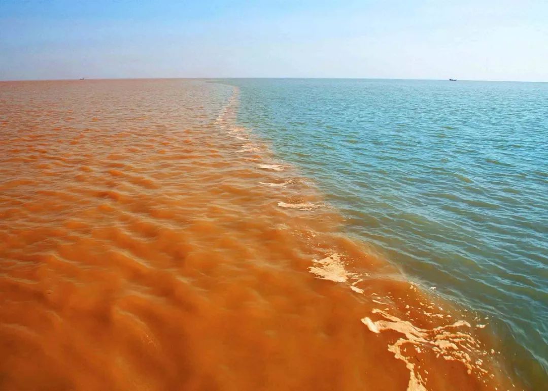 喜讯黄河口生态旅游区成功晋升国家5a级旅游景区