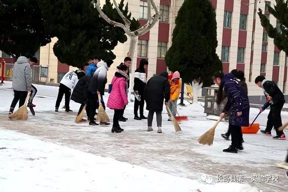 长岛第一实验学校：瑞雪满校园 行动暖人心(图8)