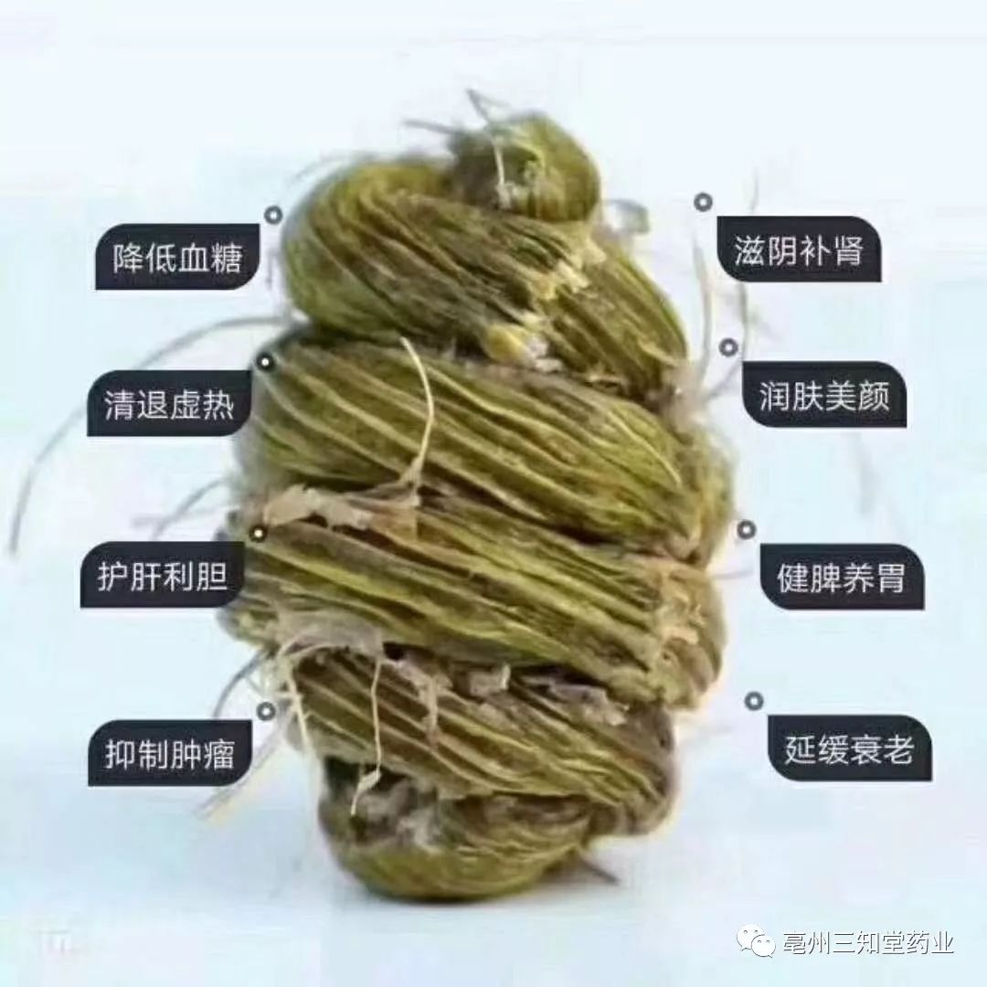 三知堂每日一药铁皮石斛