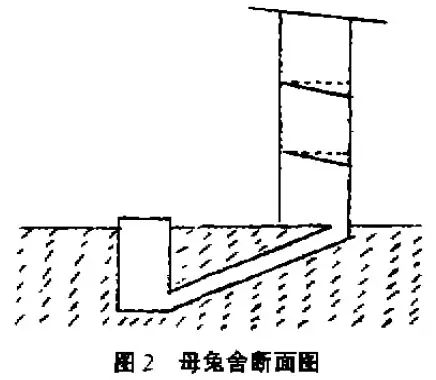 窖舍结合型母兔舍的建造