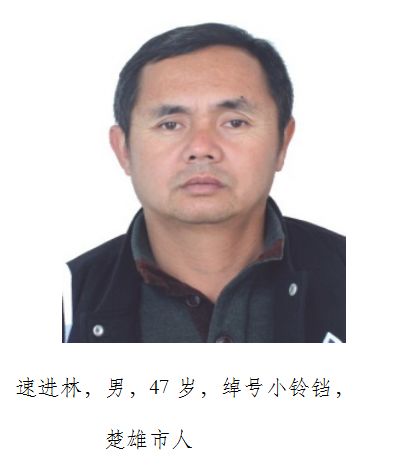 大快人心以速进林为首的涉恶犯罪团伙成员被依法逮捕楚雄市公安局公开